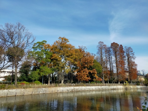 秋の碑文谷公園