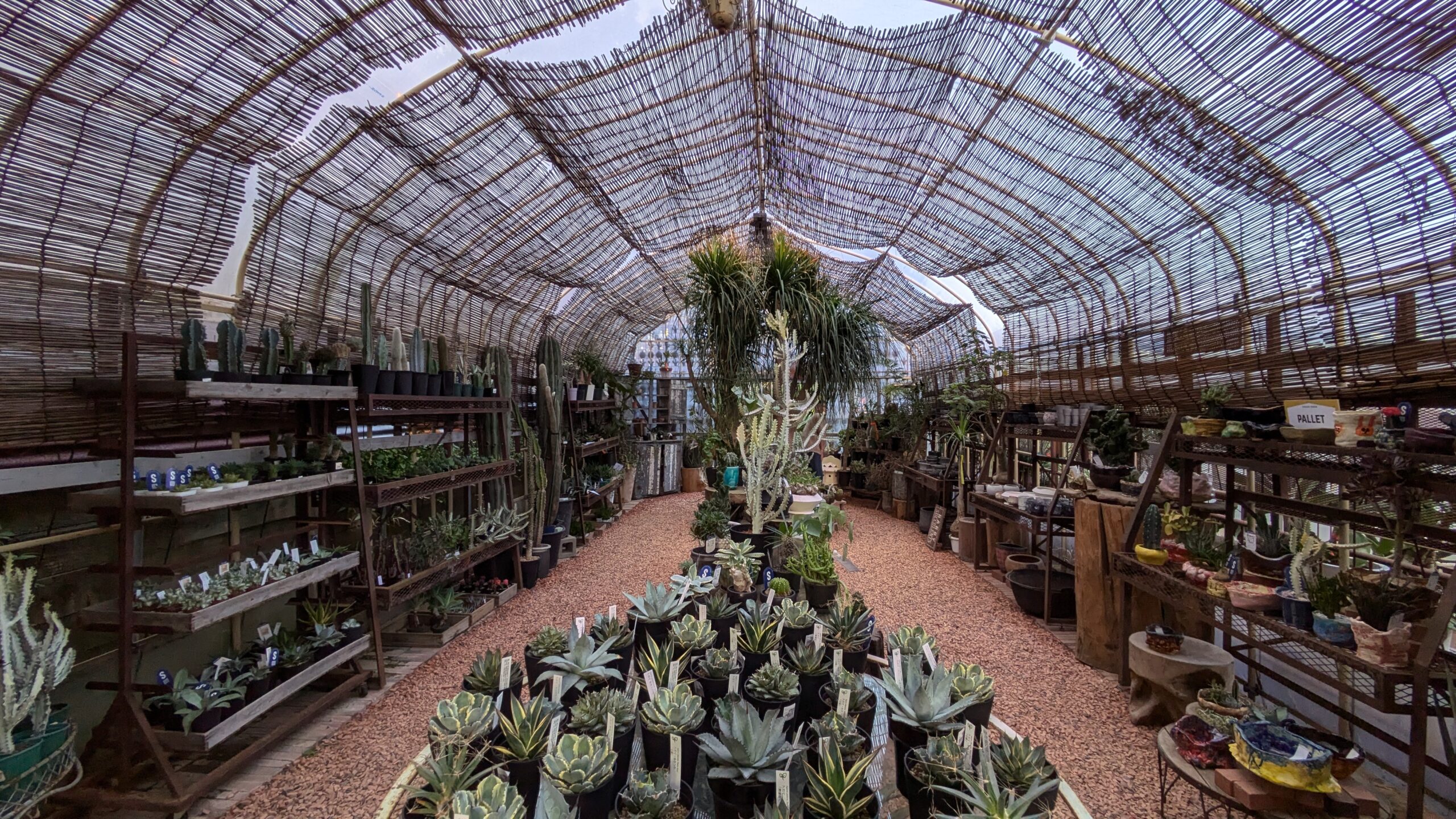 観葉植物をお探しの方にお勧めなお店です